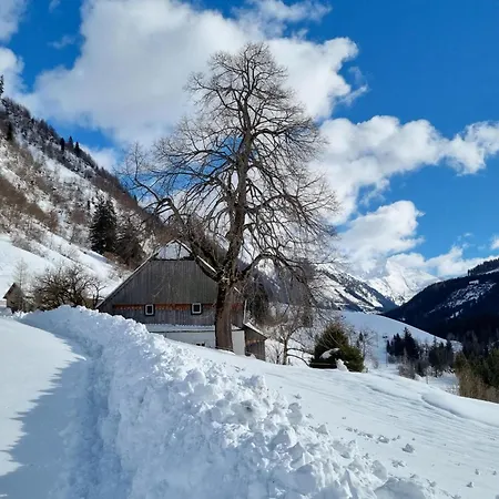 Chalet Edelweiss *